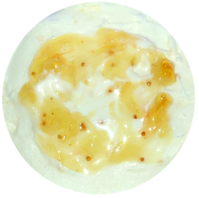 Gelato Flavour Ricotta